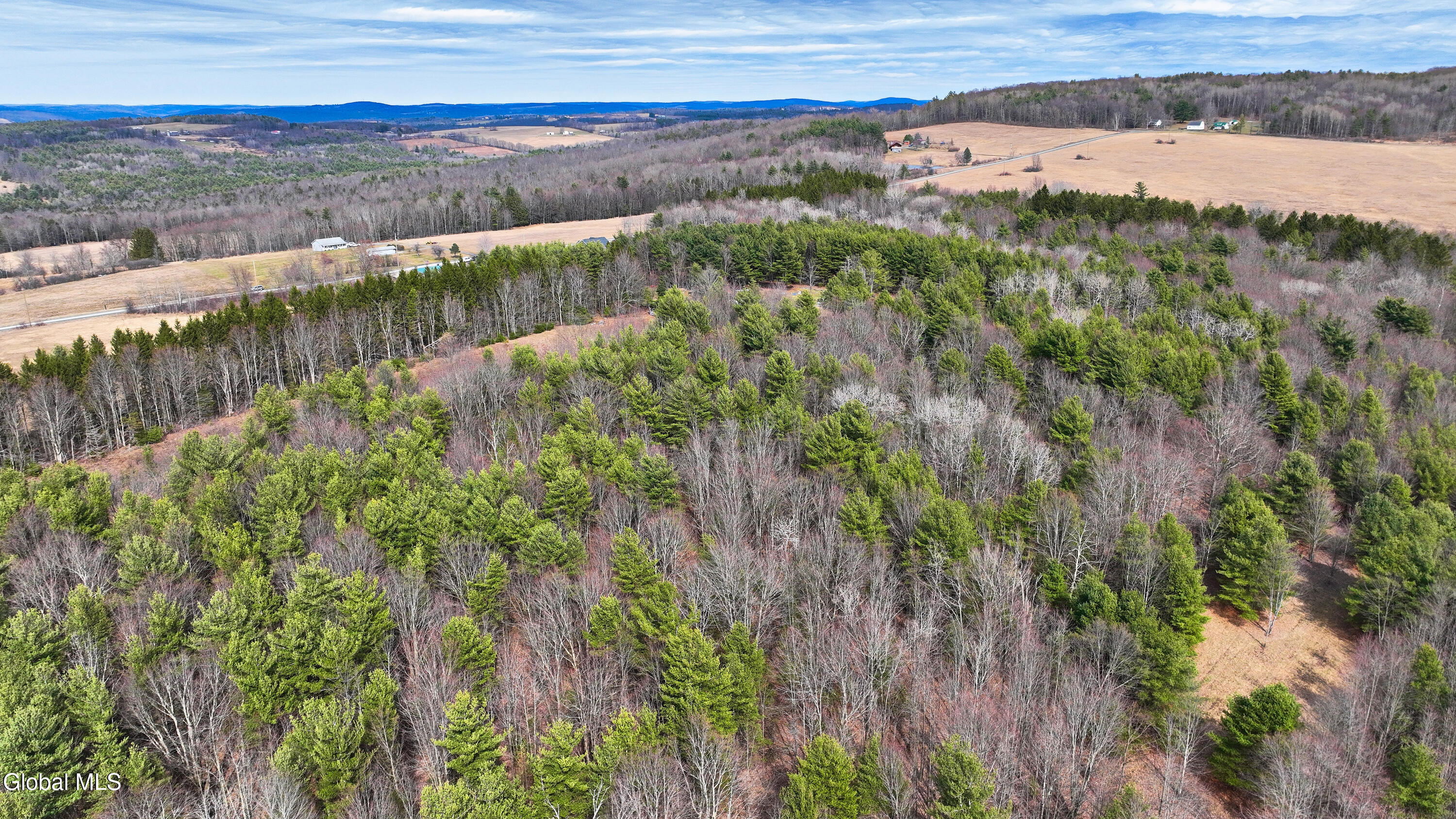 L25.4 Tuttle Road Nichols, NY 13812 - Photo 12 of 39 Tuttle Rd Nichols NY-25