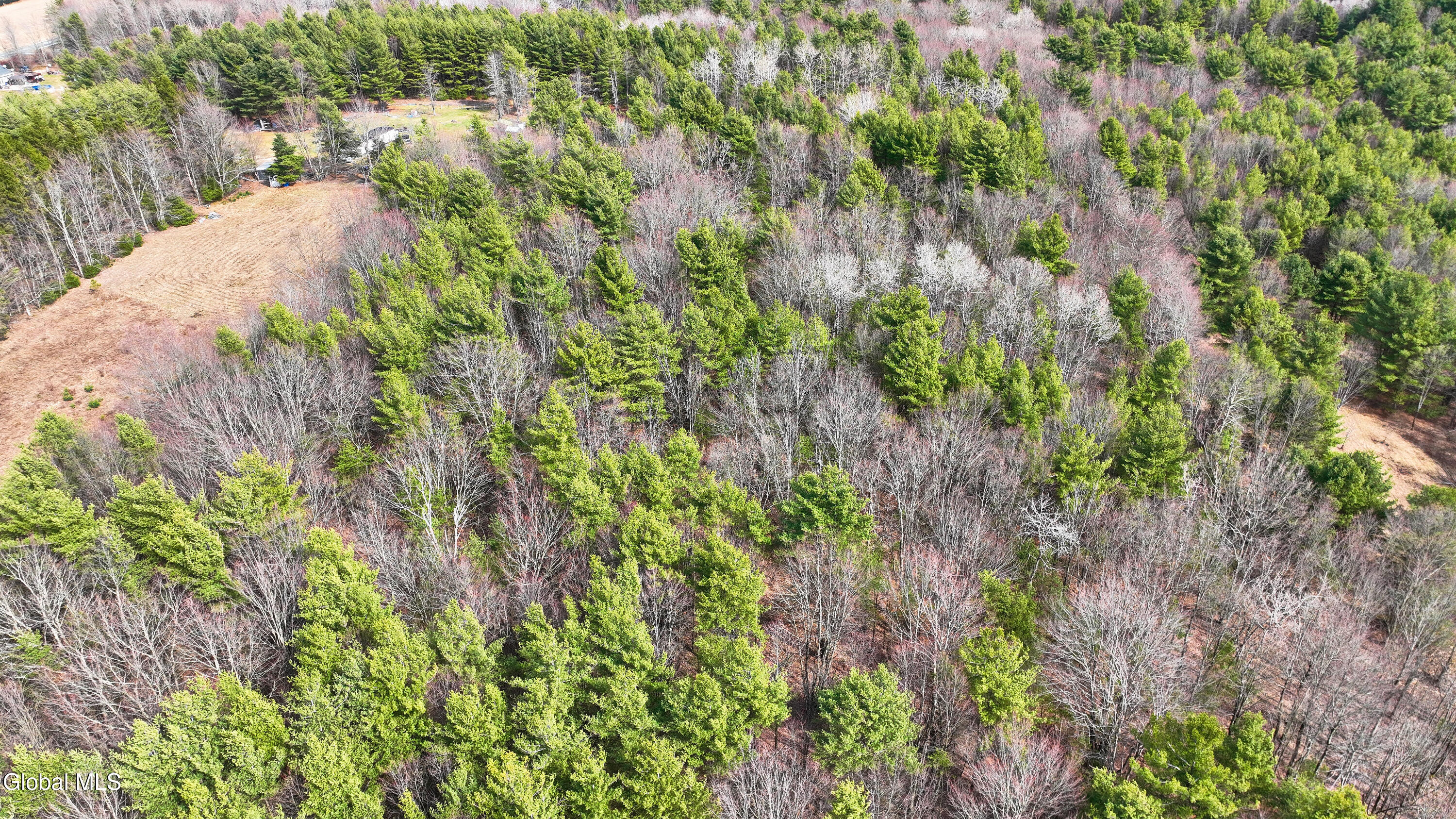 L25.4 Tuttle Road Nichols, NY 13812 - Photo 13 of 39 Tuttle Rd Nichols NY-24