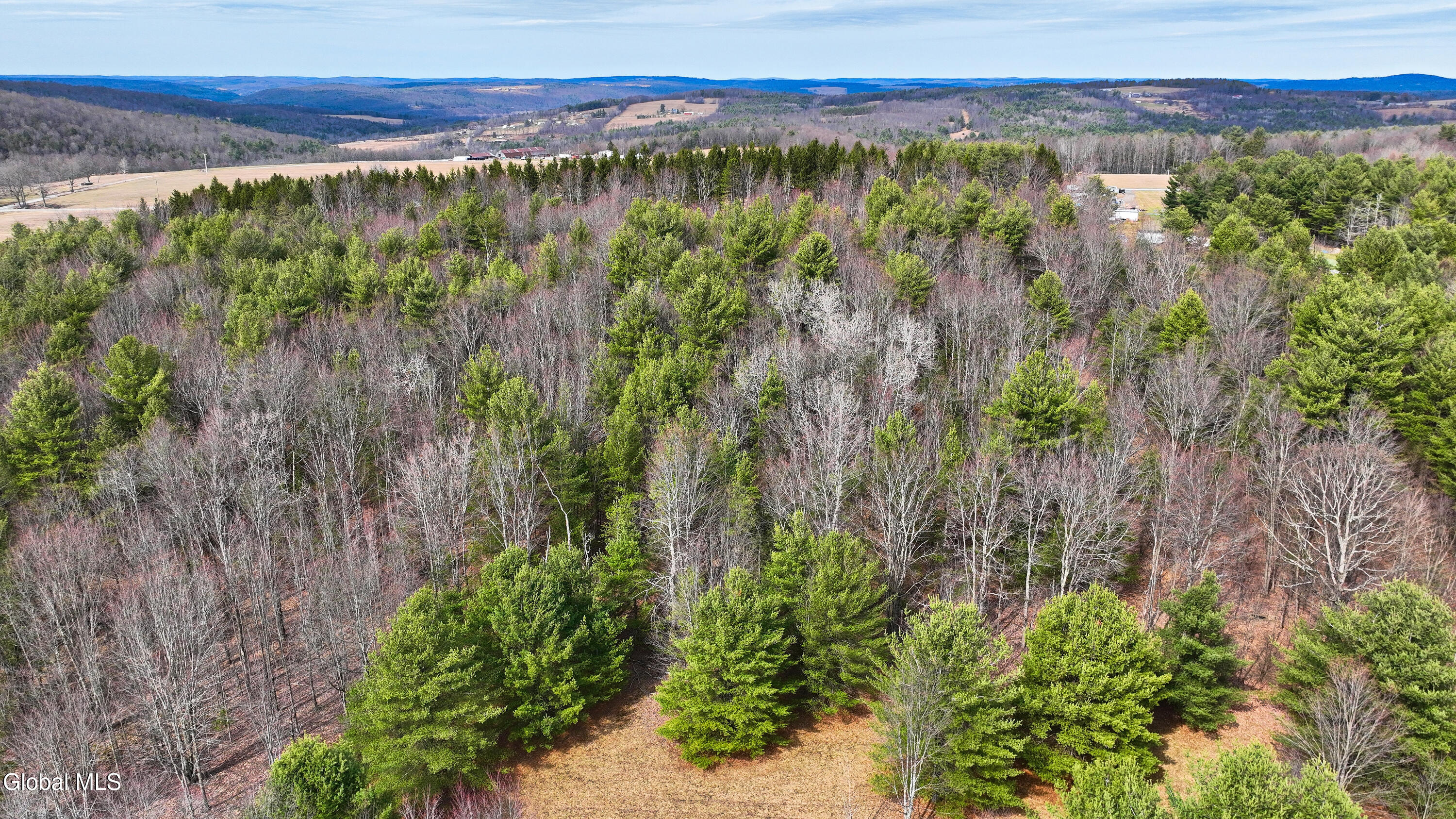 L25.4 Tuttle Road Nichols, NY 13812 - Photo 15 of 39 Tuttle Rd Nichols NY-22