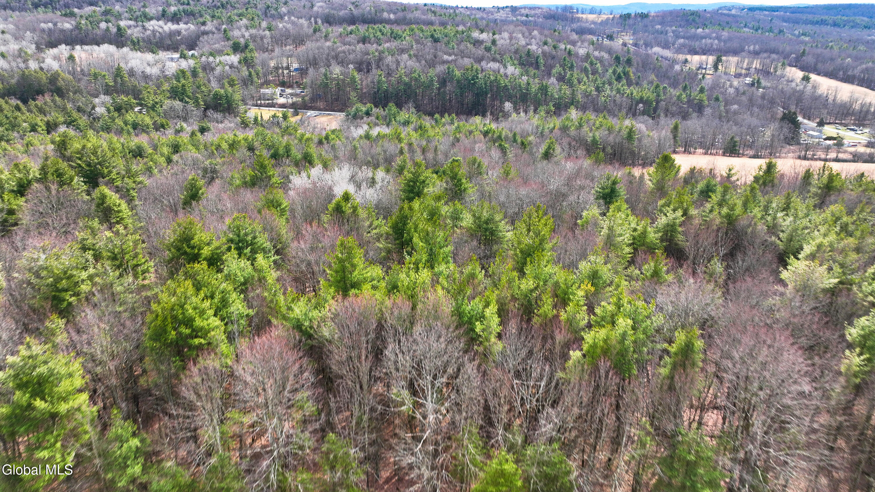 L25.4 Tuttle Road Nichols, NY 13812 - Photo 16 of 39 Tuttle Rd Nichols NY-21