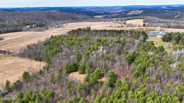$45,000 | L25.4 Tuttle Road, Nichols, NY 13812