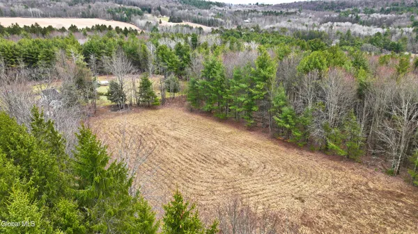 $45,000 | L25.4 Tuttle Road, Nichols, NY 13812