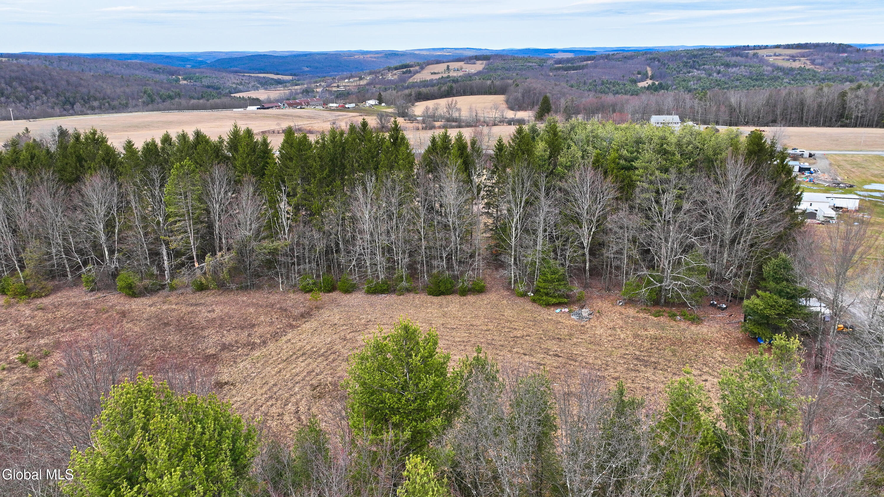 L25.4 Tuttle Road Nichols, NY 13812 - Photo 4 of 39 Tuttle Rd Nichols NY-34