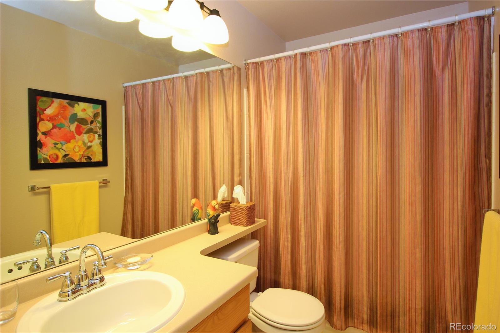 9926 Silver Maple Road Highlands Ranch, CO 80129 - Photo 17 of 30 Gallery Image 17