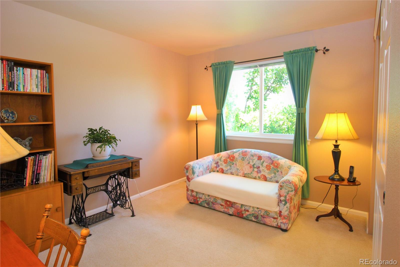9926 Silver Maple Road Highlands Ranch, CO 80129 - Photo 18 of 30 Gallery Image 18