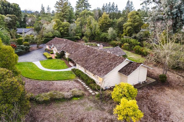 a view of a backyard with plants and trees