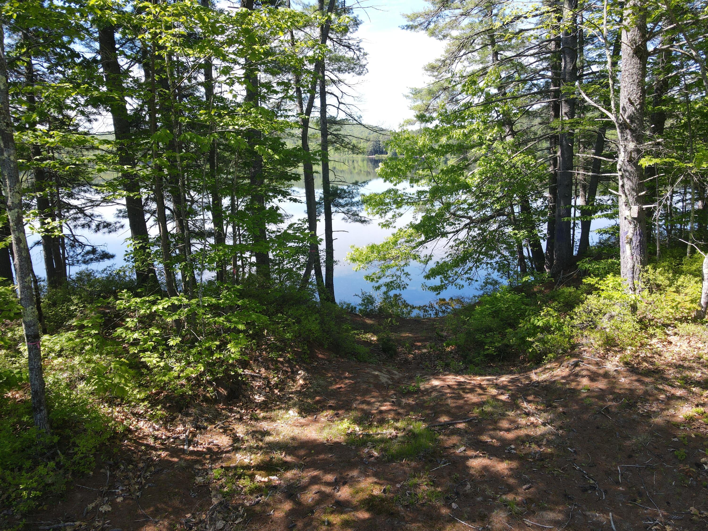 0 Hogfat Hill Road Sebago, ME 04029 - Photo 20 of 60 DJI_0501