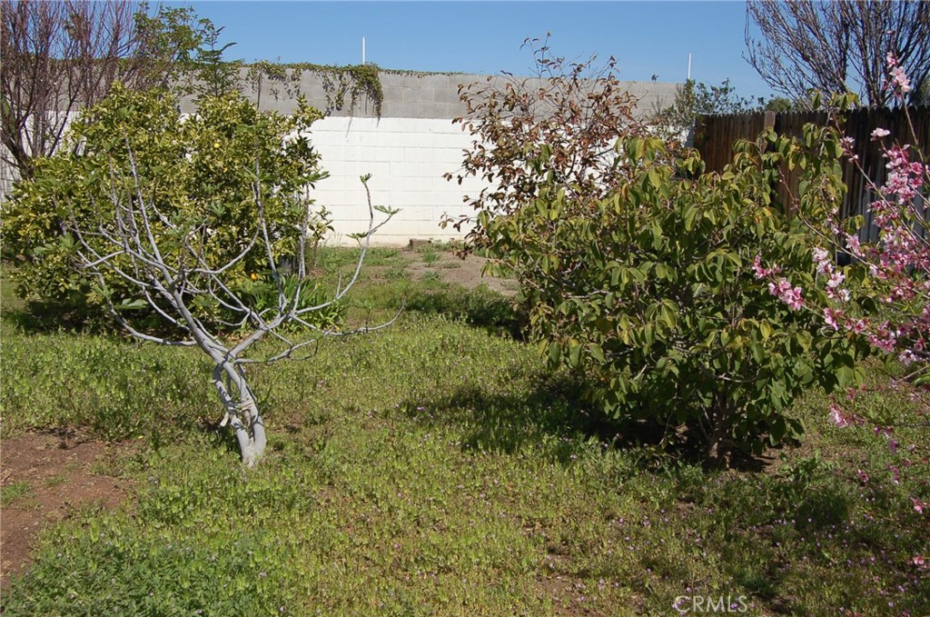 7731 Evans Street Riverside, CA 92504 - Photo 18 of 22 a view of a bunch of plants and trees