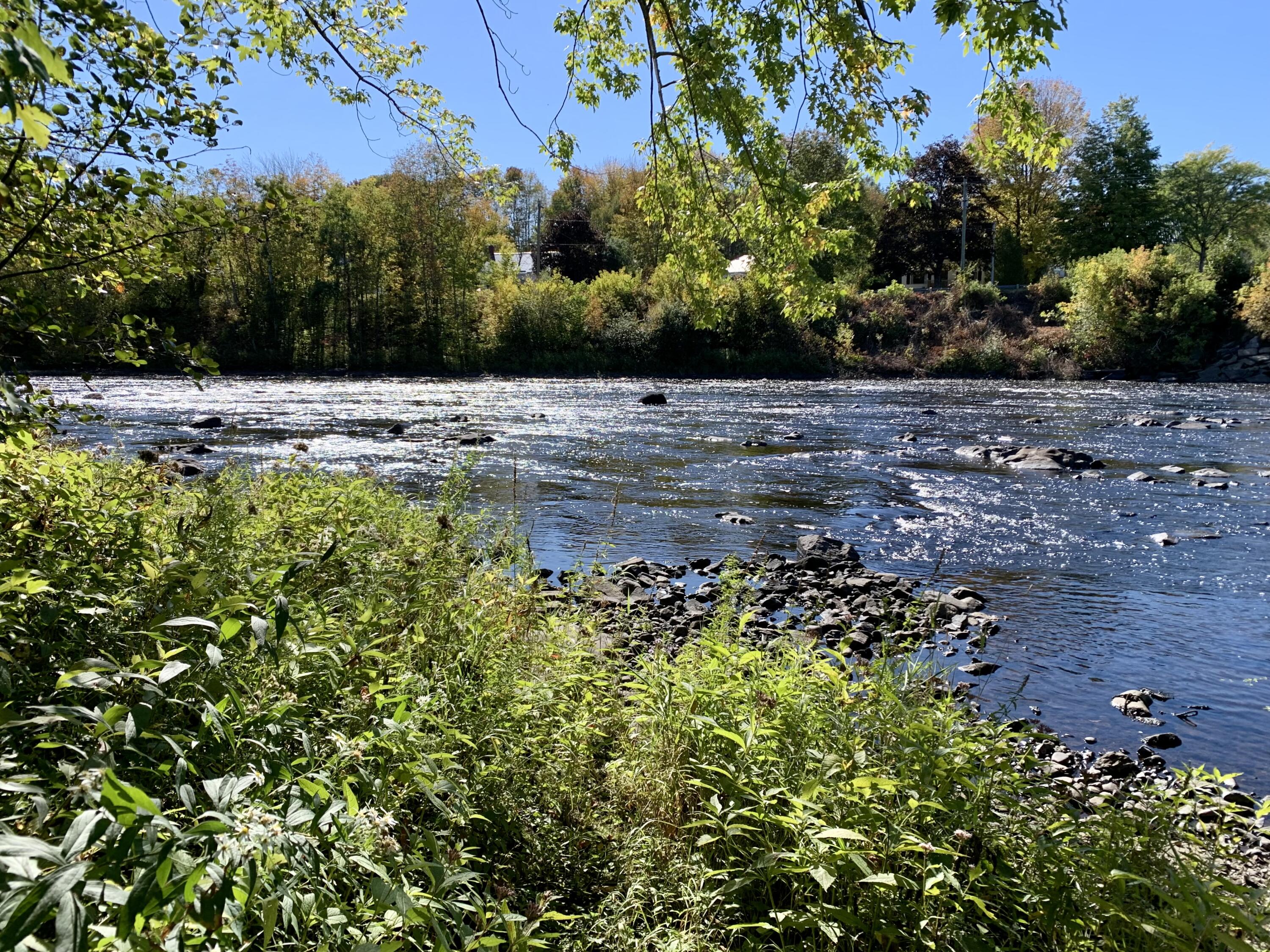 24 Todd Street Calais, ME 04619 - Photo 40 of 43 IMG_0726