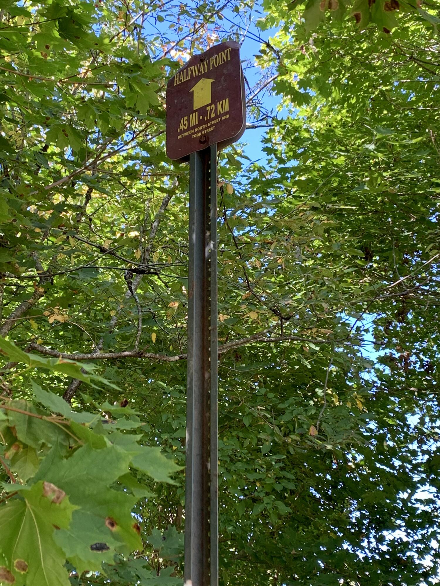 24 Todd Street Calais, ME 04619 - Photo 41 of 43 IMG_0737