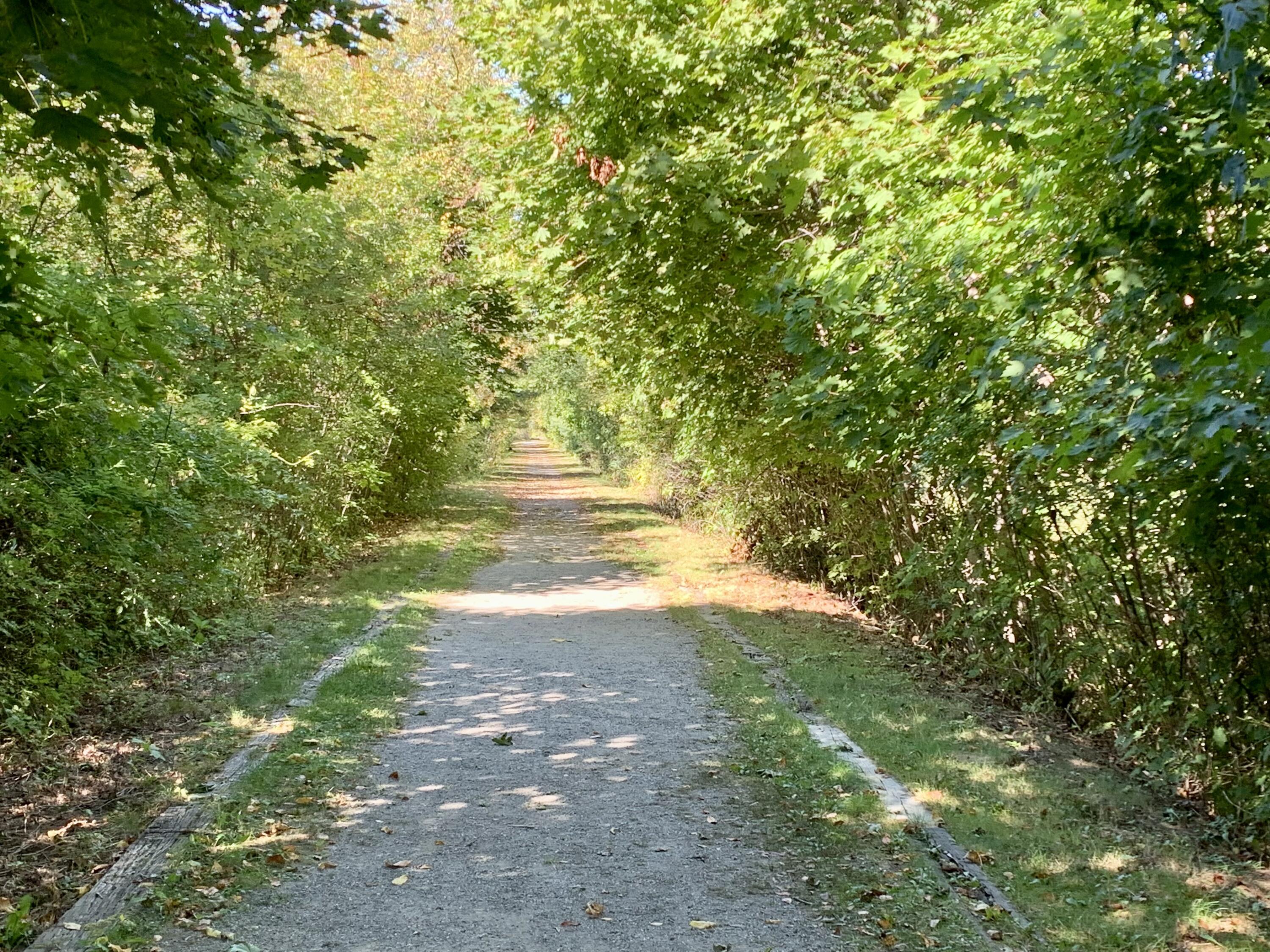 24 Todd Street Calais, ME 04619 - Photo 43 of 43 IMG_0738