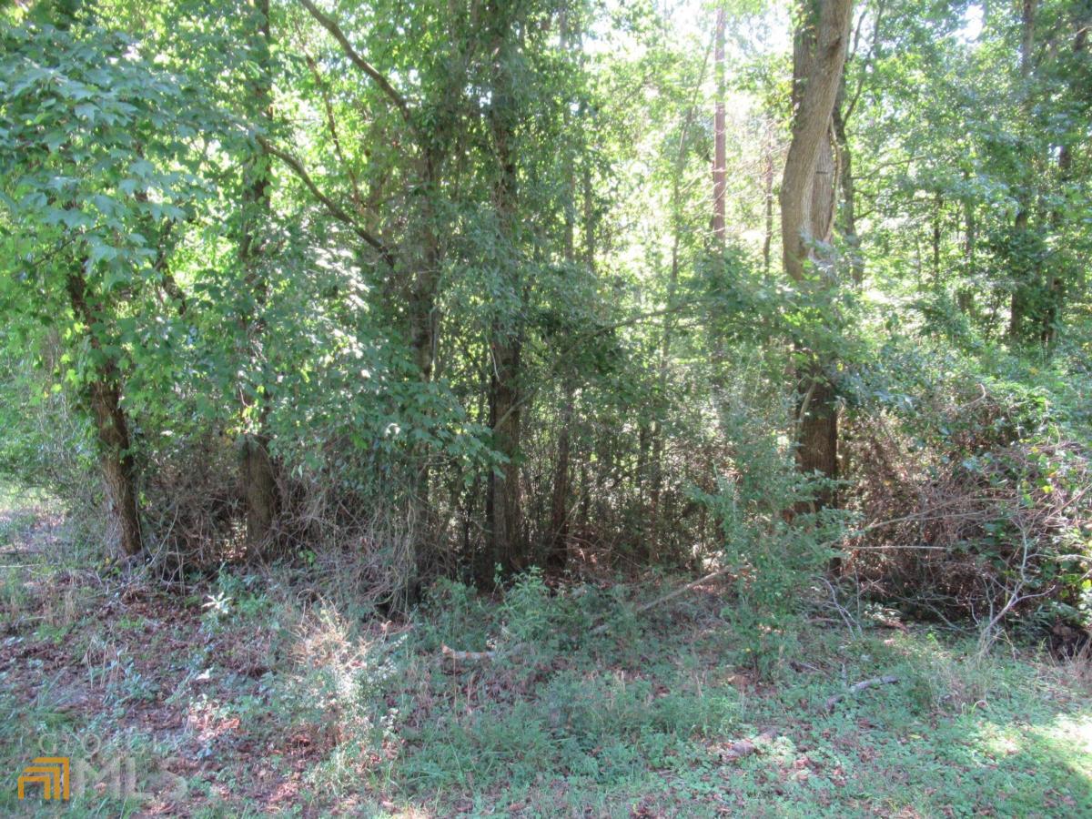 Tract2 Crumps Bridge Road Martin, GA 30557 - Photo 1 of 1 a view of a forest that has large trees
