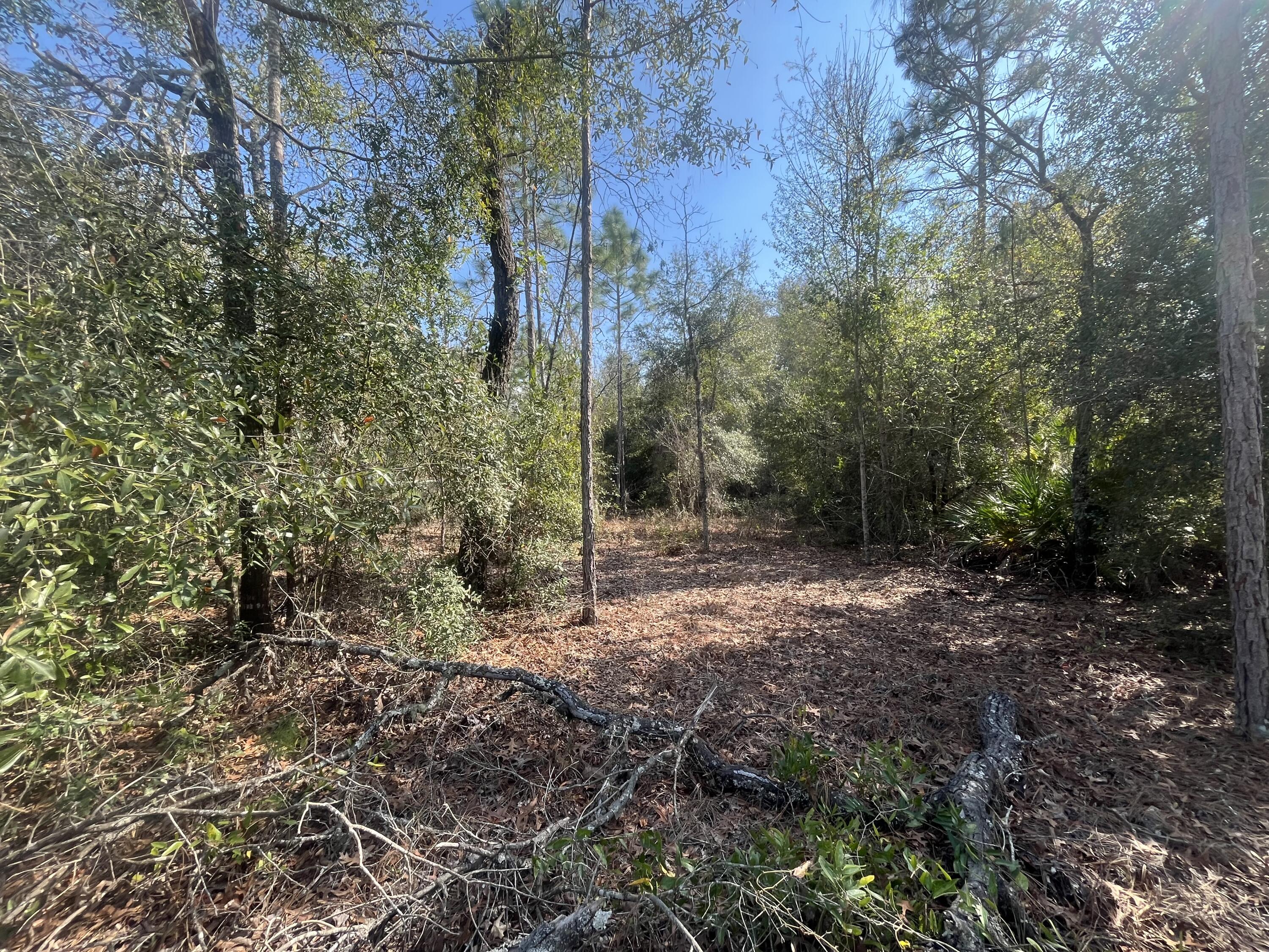 6291 Drake Avenue Keystone Heights, FL 32656 - Photo 2 of 7 IMG_5720