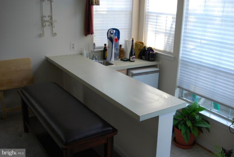 4308 Spring Avenue Halethorpe, MD 21227 - Photo 17 of 21 a kitchen with a sink and a potted plant