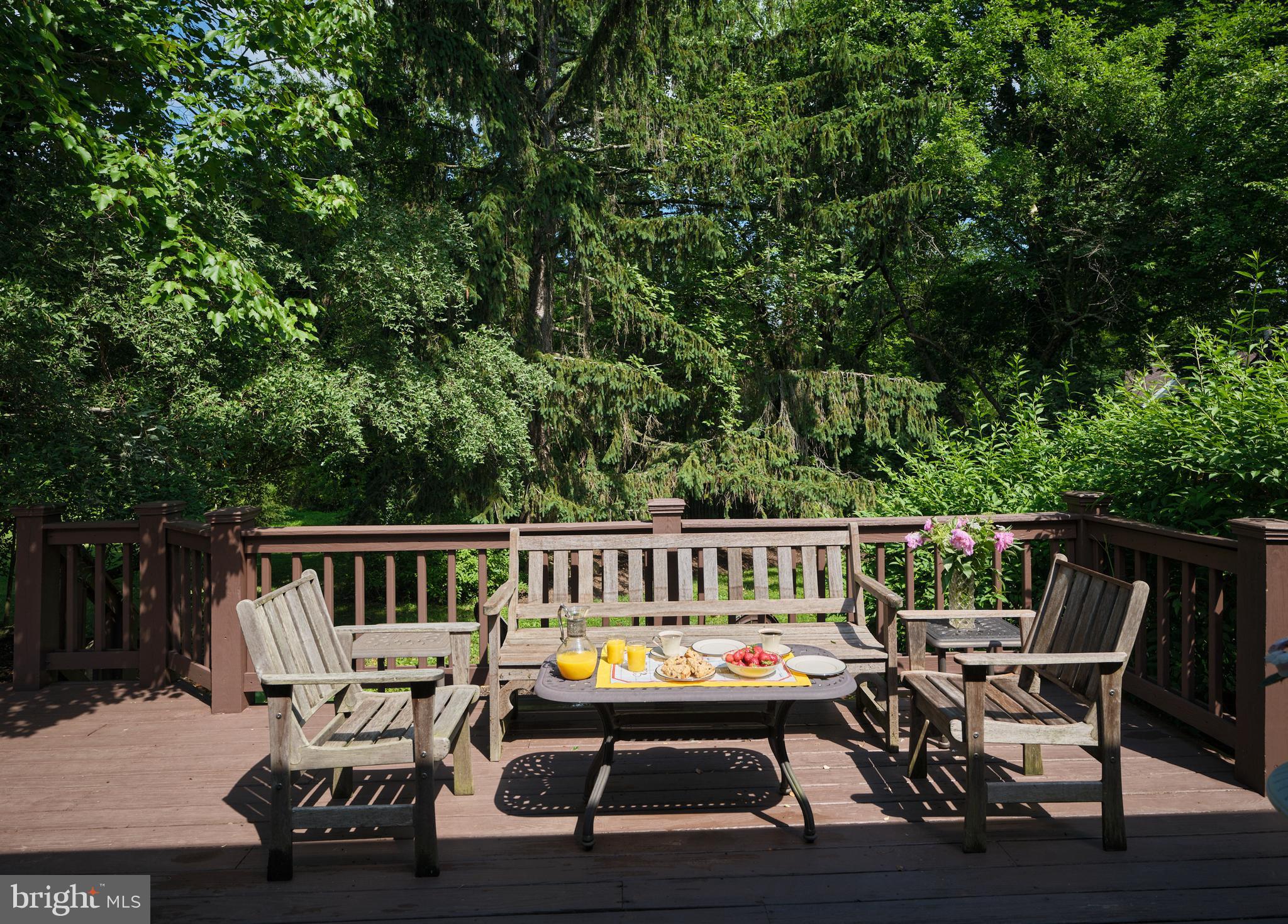 Deck Off The Breeze Way & Wet Bar