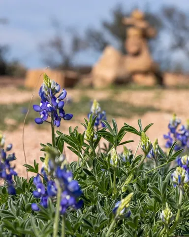 $1,995,000 | 108 Exit Strategy Lane, Unit 108, Llano, TX 78643