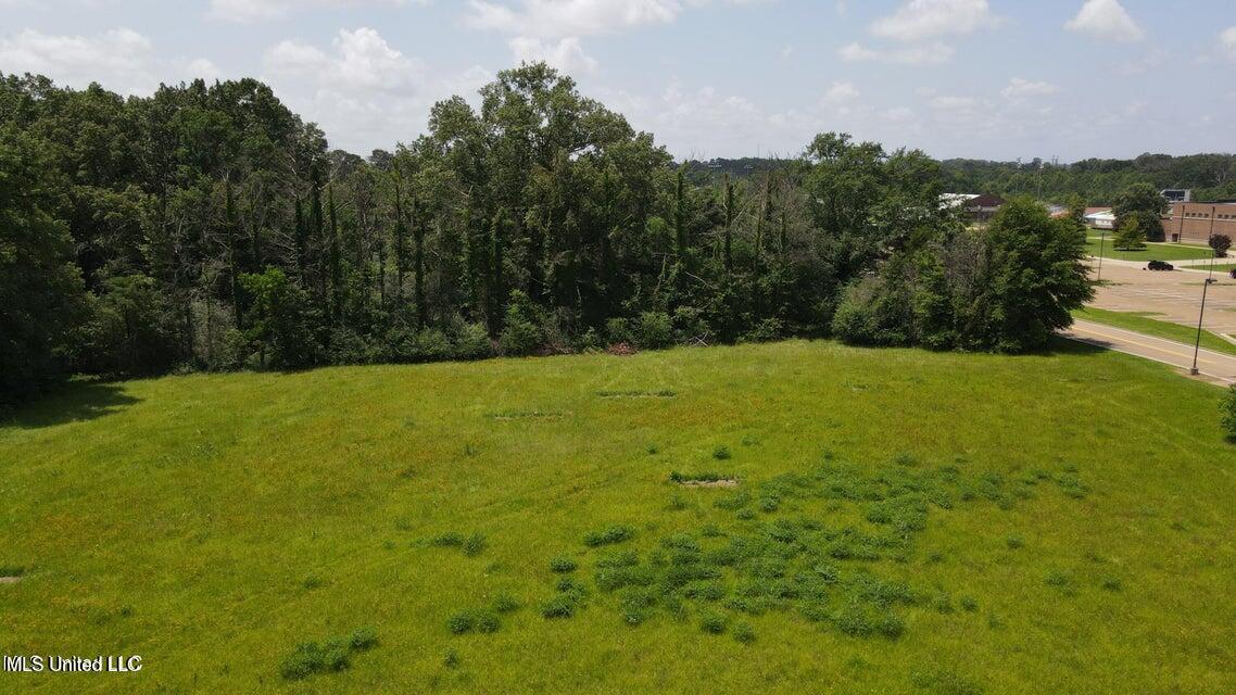 0 Colony Park Boulevard Ridgeland, MS 39157 - Photo 4 of 12 Aerial
