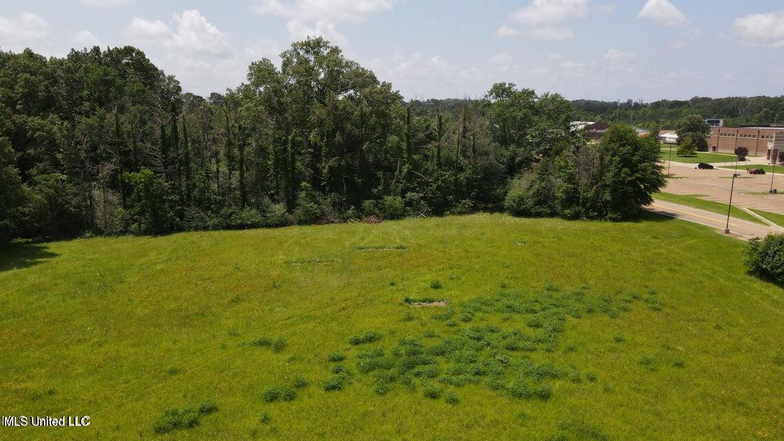 0 Colony Park Boulevard Ridgeland, MS 39157 - Photo 6 of 12 NorthWest Corner of Property