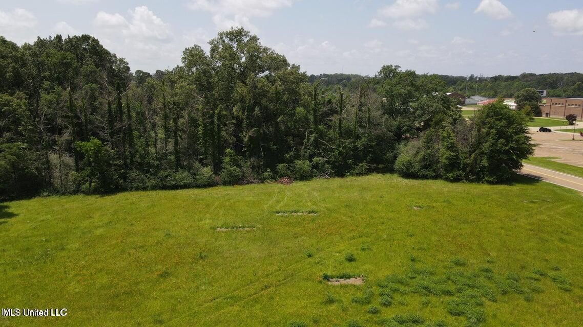 0 Colony Park Boulevard Ridgeland, MS 39157 - Photo 7 of 12 Aerial
