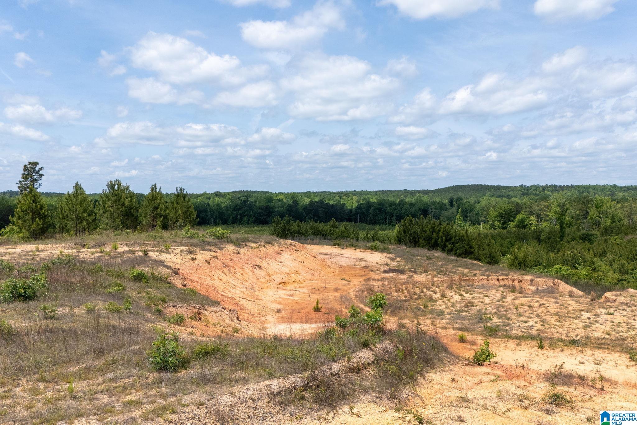 16 County Road Maplesville, AL 36750 - Photo 16 of 26