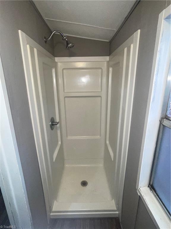 246 West Grove Road Lexington, NC 27295 - Photo 10 of 22 Master Bathroom