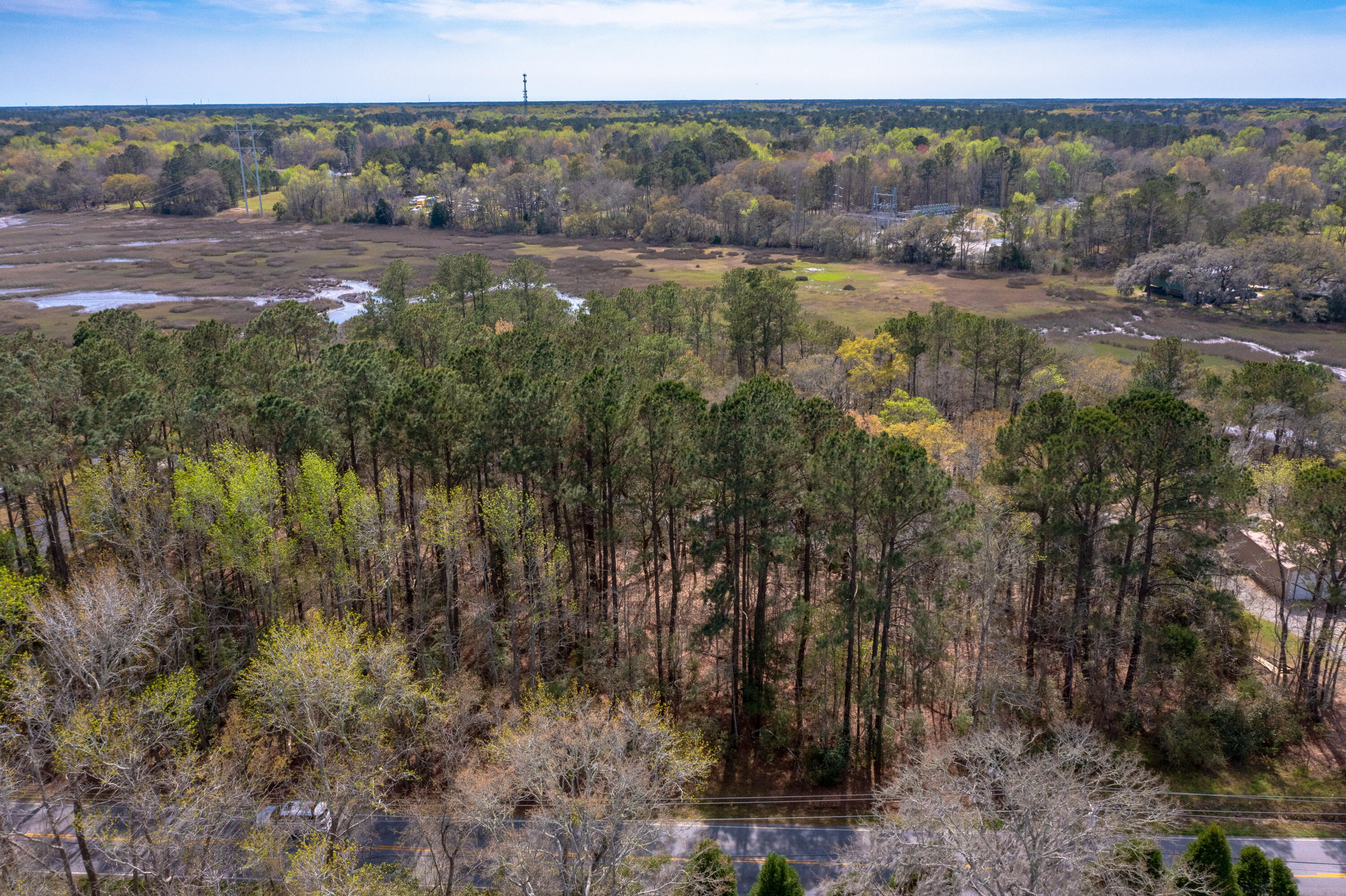 558 River Road Johns Island, SC 29455 - Photo 34 of 35 from River Rd looking to water
