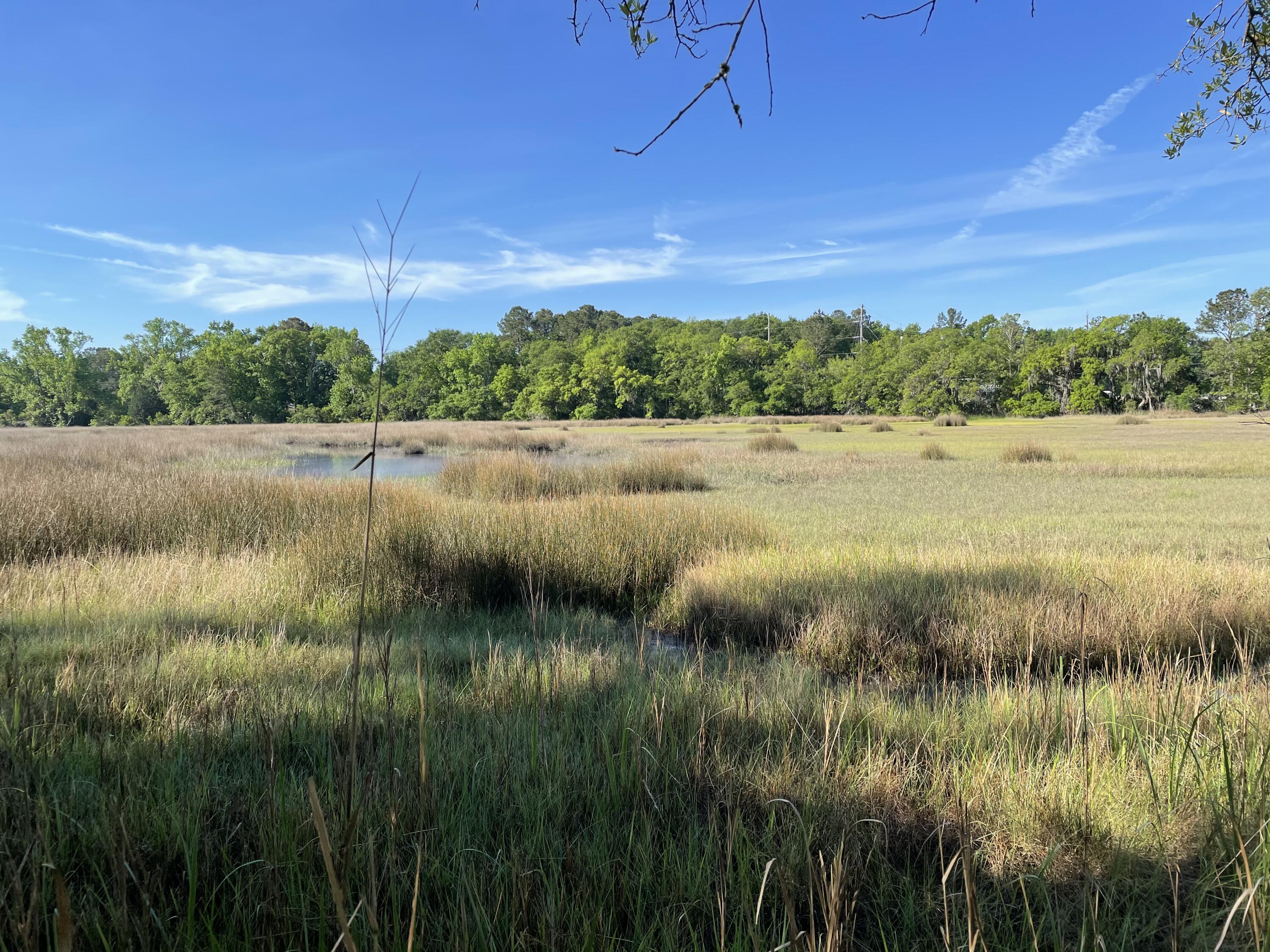 558 River Road Johns Island, SC 29455 - Photo 5 of 35 lot view 2