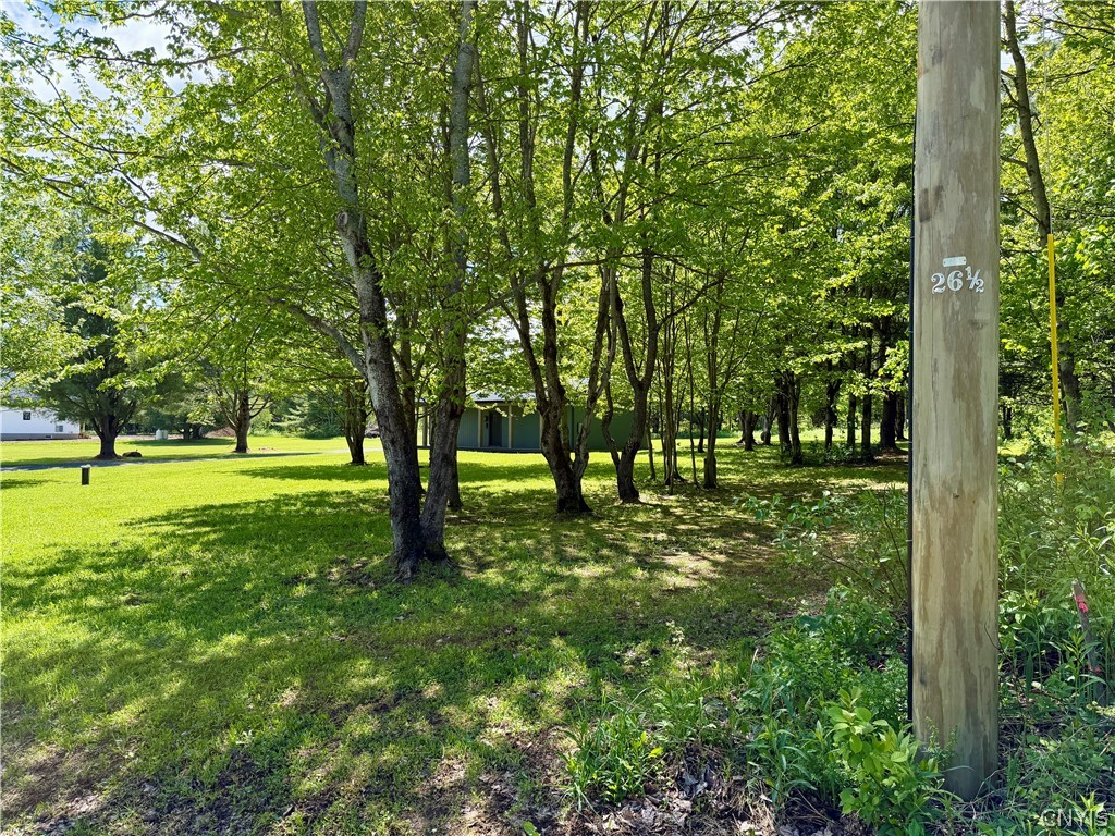 7940 Mile Square Road Harrisburg, NY 13626 - Photo 49 of 50 Yard from Front Right