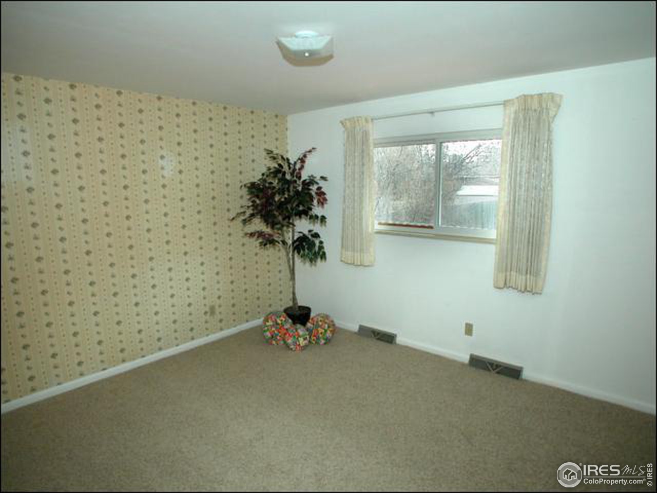 417 Princeton Road Fort Collins, CO 80525 - Photo 6 of 14 Gallery Image 6