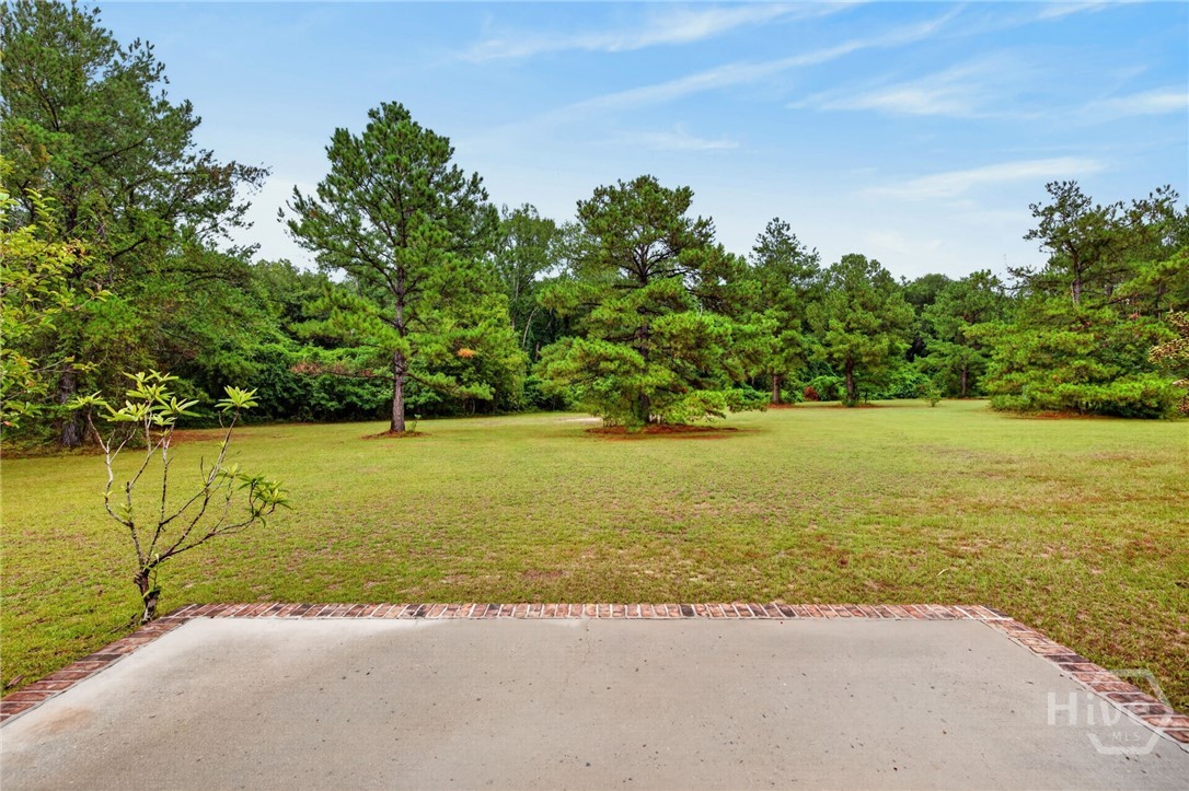 4016 Clyo-Kildare Road Clyo, GA 31303 - Photo 48 of 58 Gallery Image 48