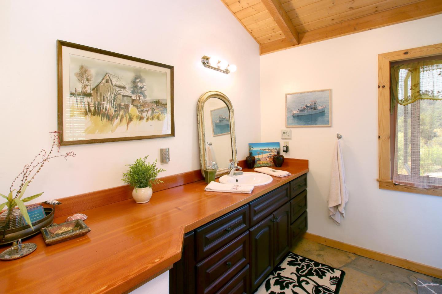 434 Old Smith Road Watsonville, CA 95076 - Photo 21 of 61 a bathroom with a sink a mirror and a potted plant