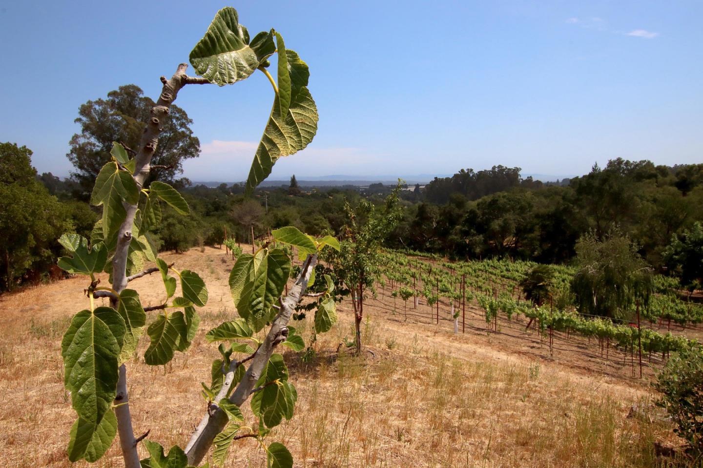 434 Old Smith Road Watsonville, CA 95076 - Photo 36 of 61 a view of swimming pool