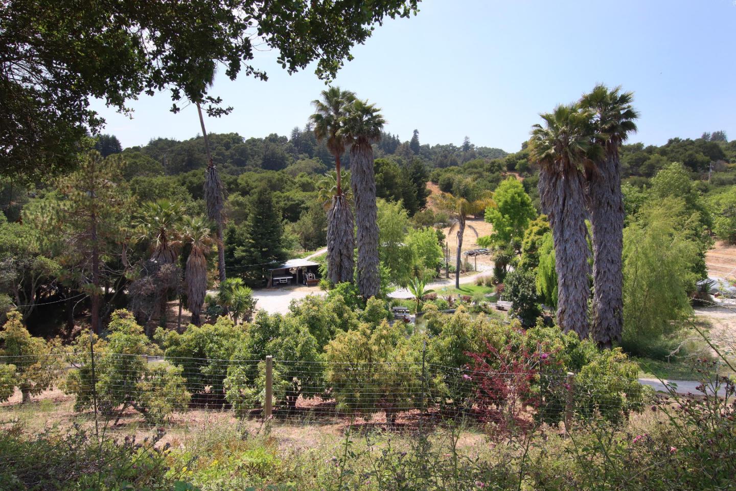 434 Old Smith Road Watsonville, CA 95076 - Photo 4 of 61 a view of a garden with trees