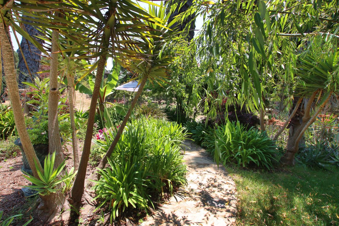 434 Old Smith Road Watsonville, CA 95076 - Photo 52 of 61 a view of a yard