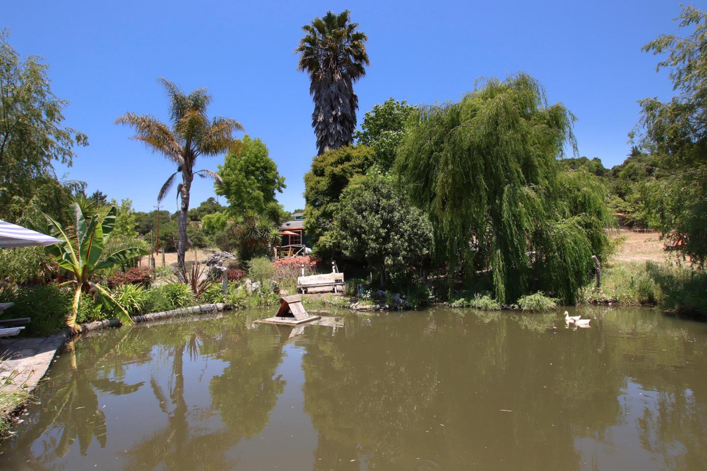 434 Old Smith Road Watsonville, CA 95076 - Photo 54 of 61