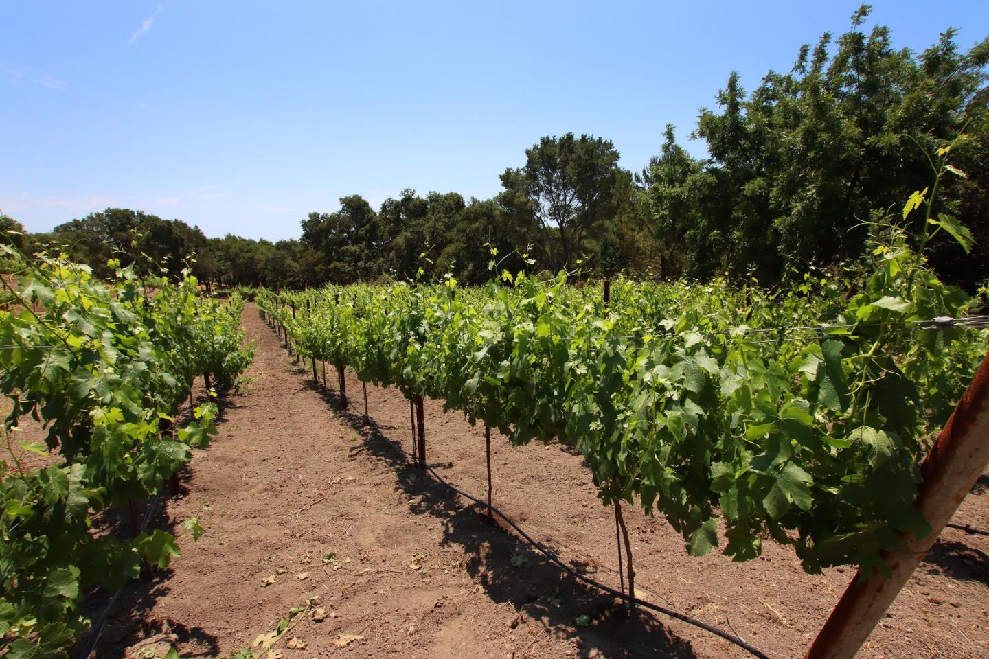 434 Old Smith Road Watsonville, CA 95076 - Photo 55 of 61 a view of a lake with a mountain