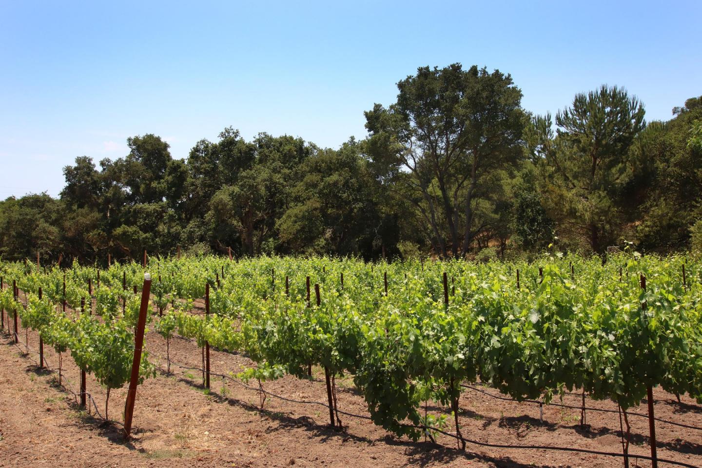 434 Old Smith Road Watsonville, CA 95076 - Photo 56 of 61