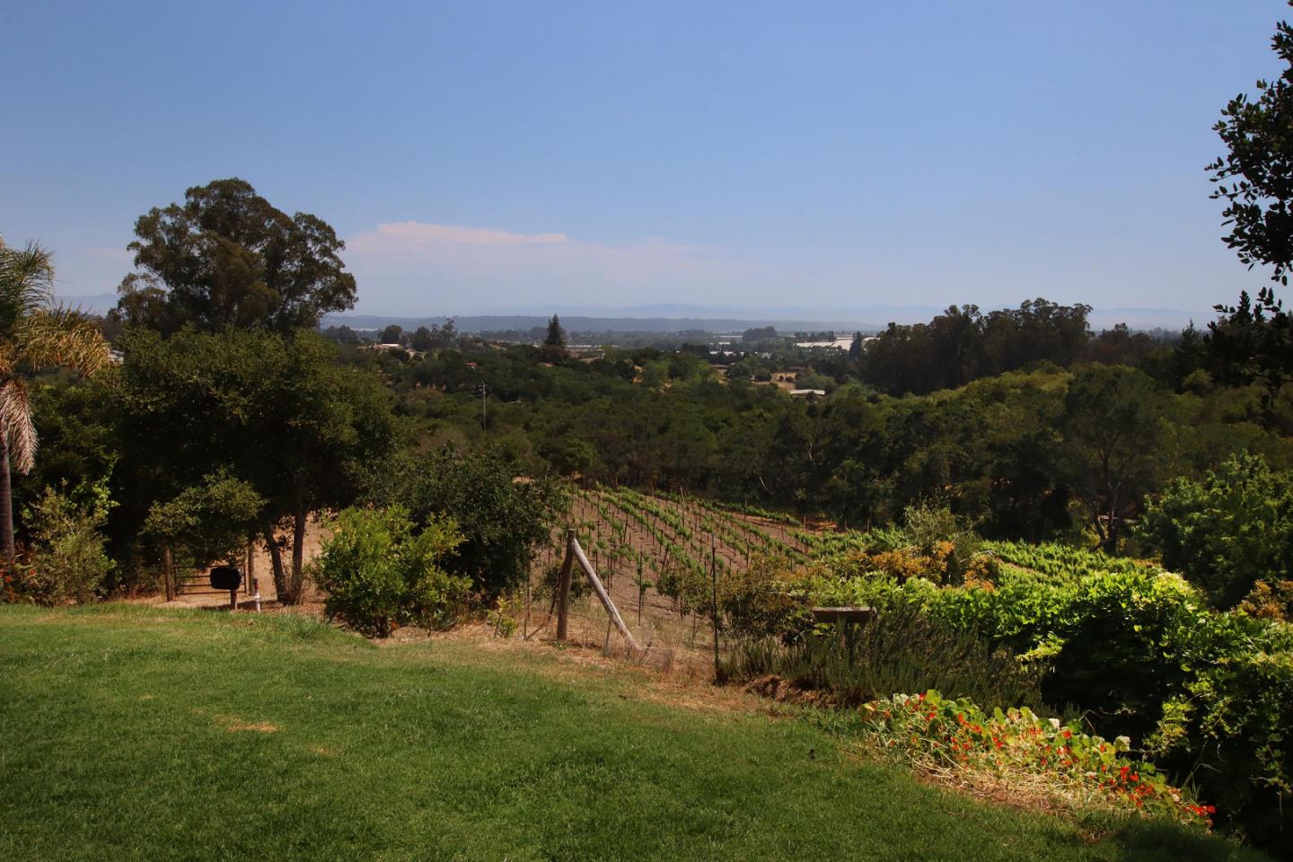 434 Old Smith Road Watsonville, CA 95076 - Photo 58 of 61 a view of a field with a tree