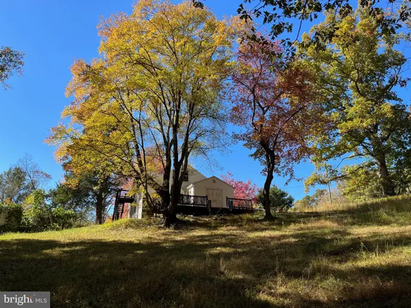 a view of street with large trees
