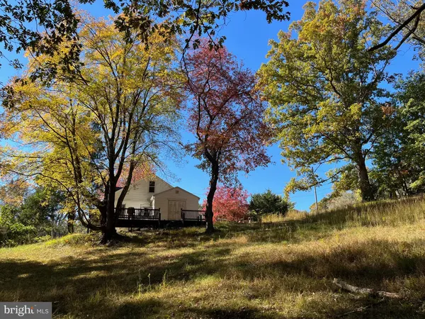a view of back yard of the house