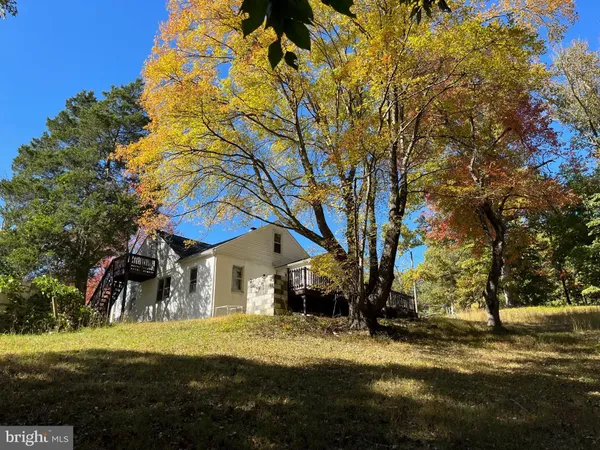 a view of a town with large trees