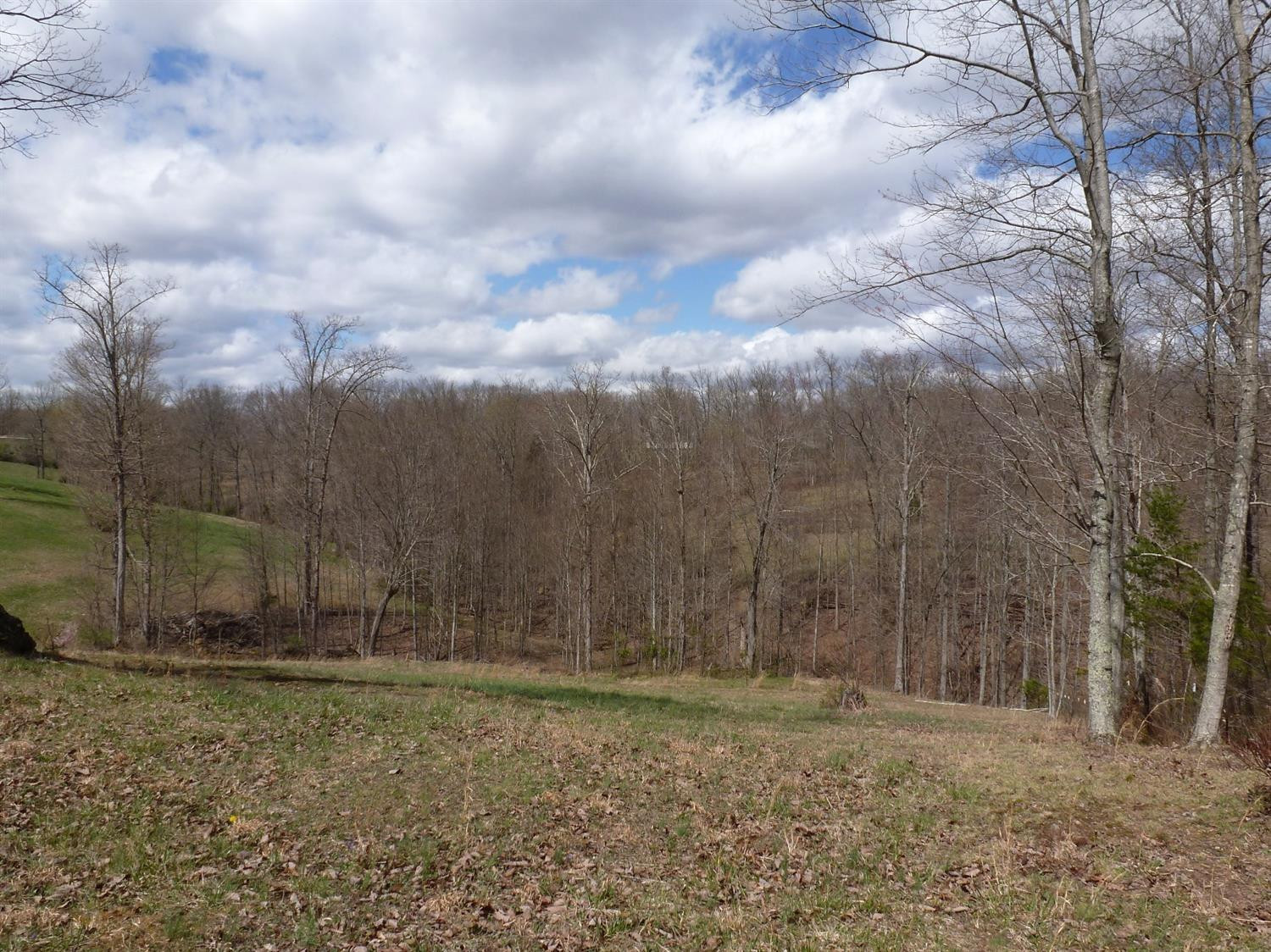 3821 Amos Ridge Road Frenchburg, KY 40322 - Photo 82 of 88 Photo 82