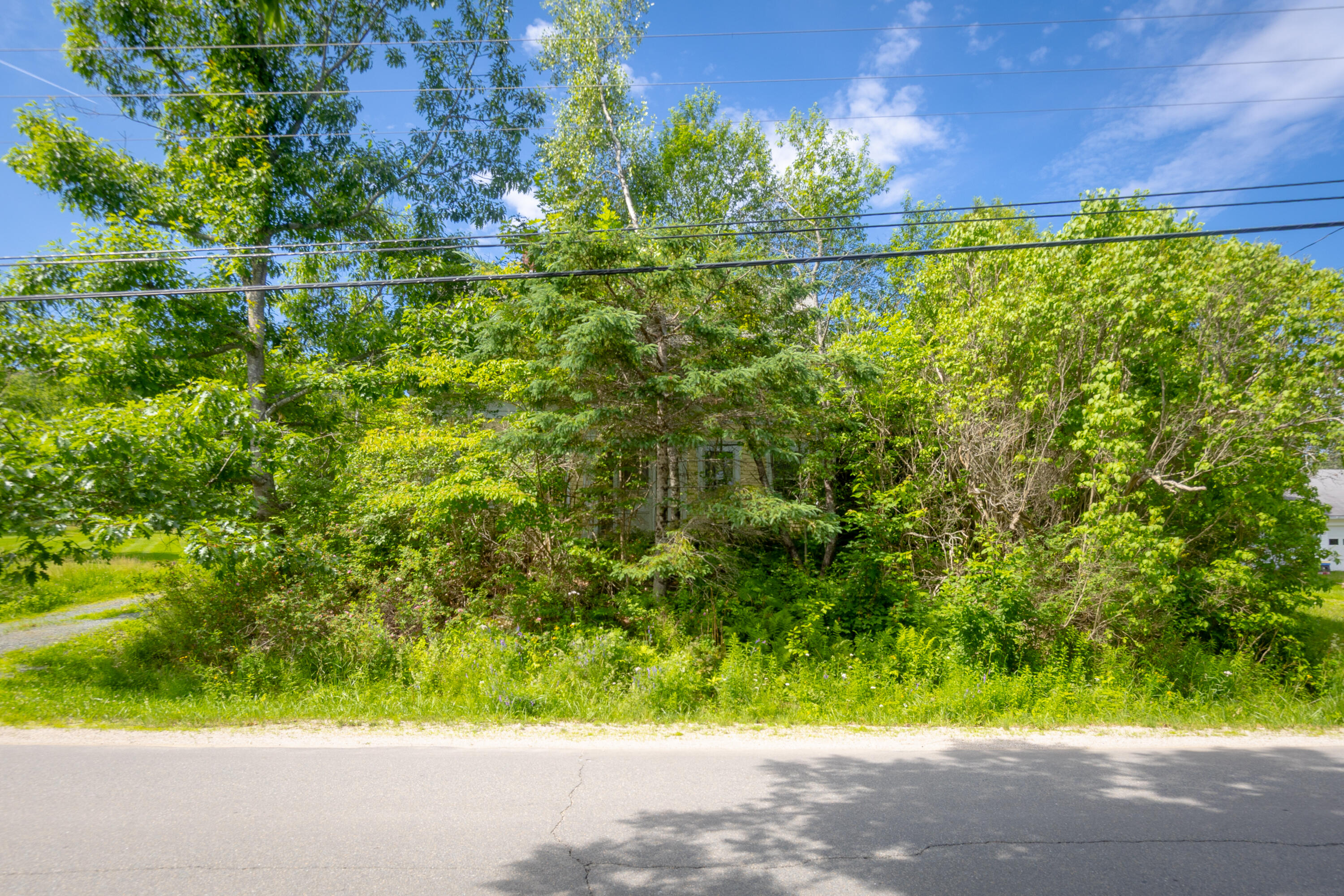 19 Newbury Neck Road Surry, ME 04684 - Photo 10 of 10 10-19 Newbury Neck Road-DTP