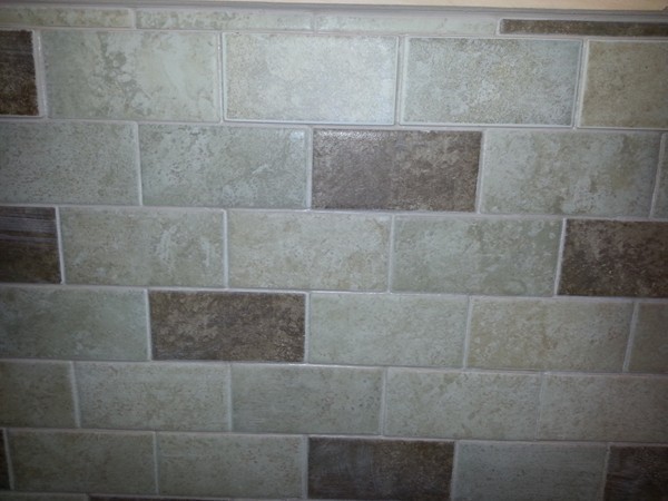 70 Starling Road Springfield, MA 01119 - Photo 12 of 25 a bathroom with a shower
