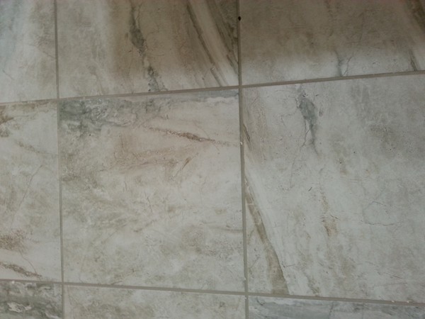 70 Starling Road Springfield, MA 01119 - Photo 22 of 25 a bathroom with a shower