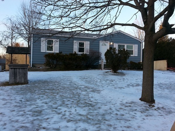 70 Starling Road Springfield, MA 01119 - Photo 7 of 25 a view of a house with backyard and trees