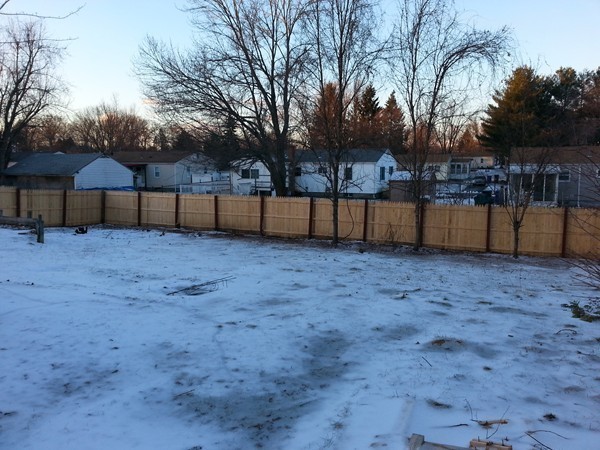70 Starling Road Springfield, MA 01119 - Photo 8 of 25 a view of backyard with large trees and wooden fence