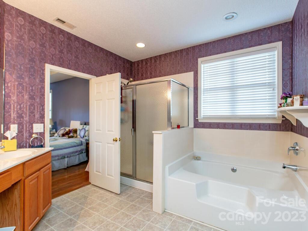 256 Walnut Crest Road Fletcher, NC 28732 - Photo 21 of 38 a bathroom with a bathtub sink and mirror