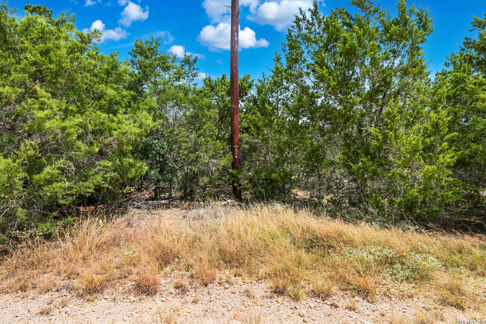 136 Angus Trail Spring Branch, TX 78070 - Photo 15 of 20 Gallery Image 15