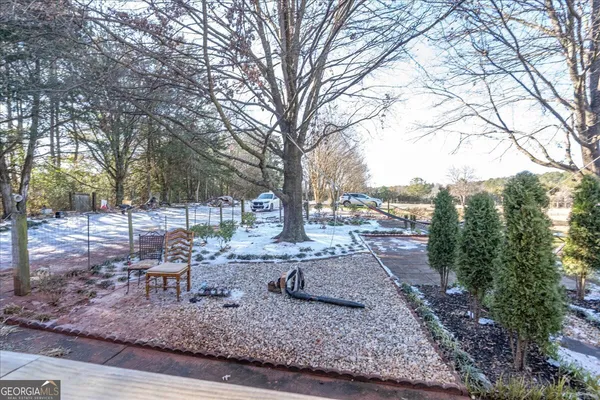 a view of a yard with a tree